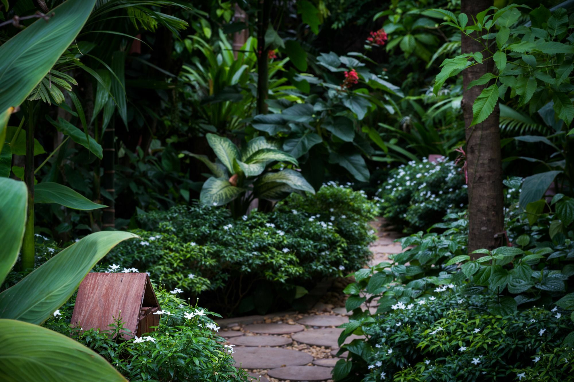 Malu Khmer Villa Sziemreap Kültér fotó